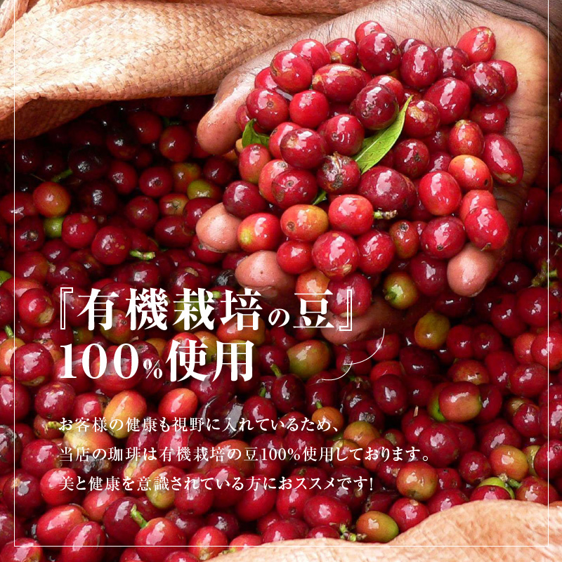 希少！有機栽培の豆100% ドリップバッグ コーヒー ギフトボックス(ホット20袋)　H046-033
