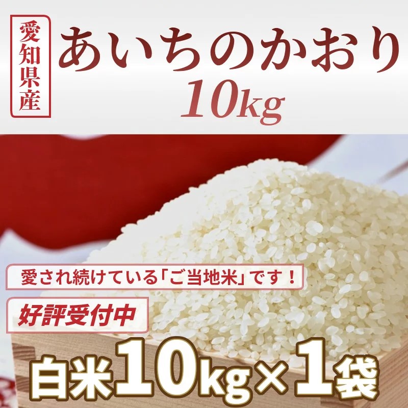 愛知県産　あいちのかおり10kg　H017-081