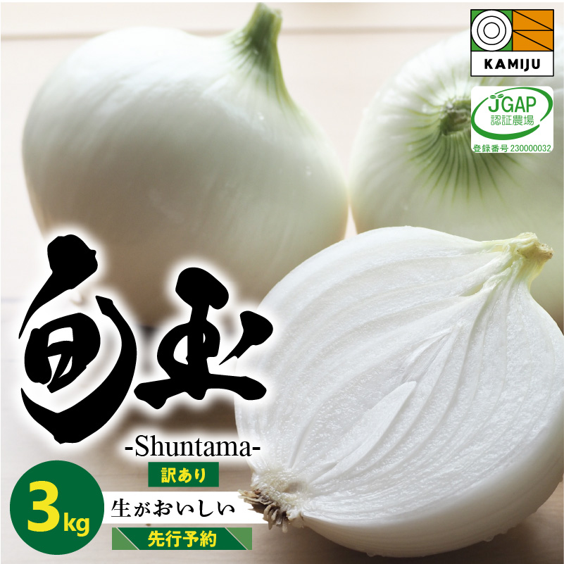 【数量限定】訳あり 新玉ねぎ　生がおいしい 神重農産のブランド玉ねぎ「旬玉」3kg　ブランド玉ねぎ 玉ねぎ 国産 愛知県産 野菜 やさい 農家直送 畑直送 旬 期間限定 たまねぎ 先行予約 旬 特産 高評価 高リピート 人気 H105-114