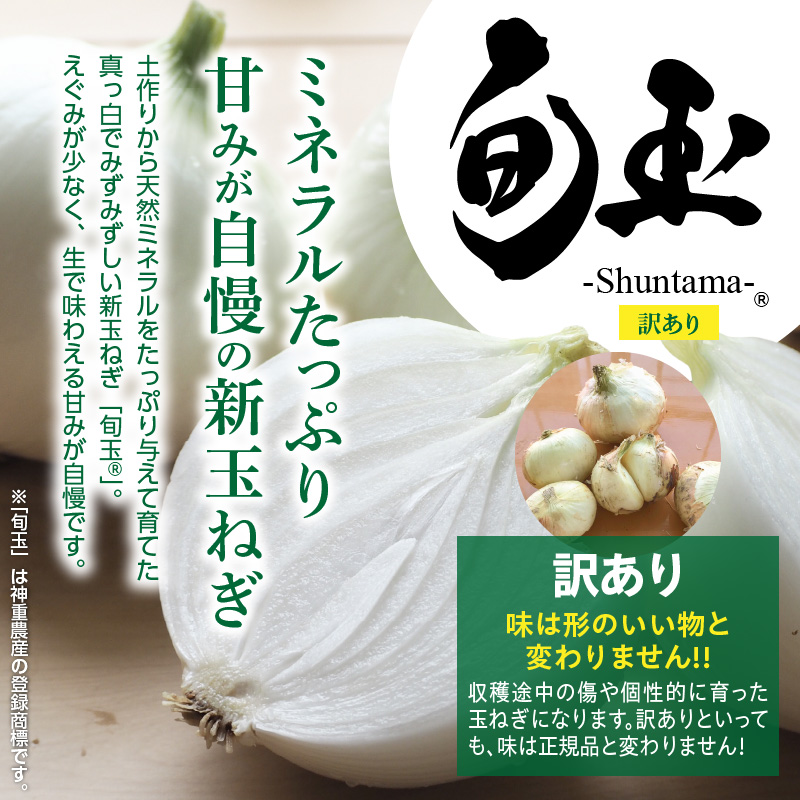 【数量限定】訳あり 新玉ねぎ　生がおいしい 神重農産のブランド玉ねぎ「旬玉」3kg　ブランド玉ねぎ 玉ねぎ 国産 愛知県産 野菜 やさい 農家直送 畑直送 旬 期間限定 たまねぎ 先行予約 旬 特産 高評価 高リピート 人気 H105-114