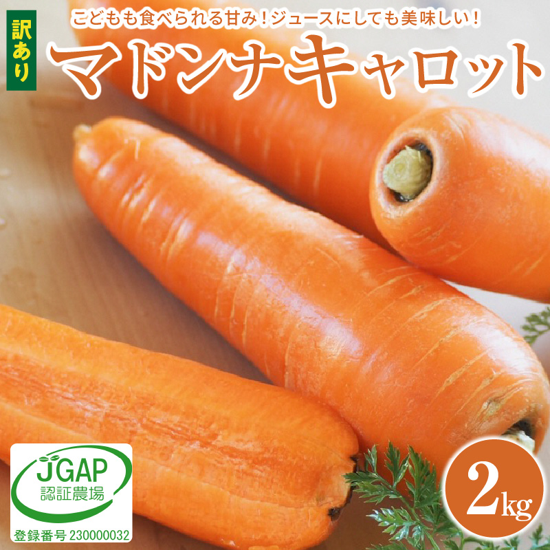 【期間限定】訳あり！こどもも食べられる甘み！「マドンナキャロット」 2kg にんじん 人参 ニンジン 野菜 やさい 国産 碧南市 健康 食品ロス削減 甘い 先行予約 旬 特産 高評価 高リピート 人気 H105-134