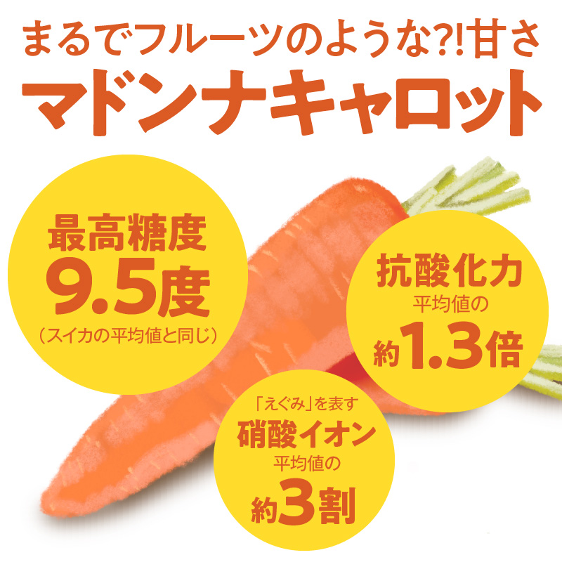 【期間限定】訳あり！こどもも食べられる甘み！「マドンナキャロット」 2kg にんじん 人参 ニンジン 野菜 やさい 国産 碧南市 健康 食品ロス削減 甘い 先行予約 旬 特産 高評価 高リピート 人気 H105-134