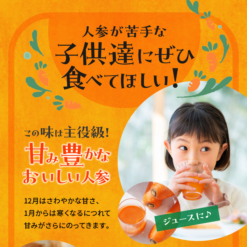 【期間限定】訳あり！こどもも食べられる甘み！「マドンナキャロット」 2kg にんじん 人参 ニンジン 野菜 やさい 国産 碧南市 健康 食品ロス削減 甘い 先行予約 旬 特産 高評価 高リピート 人気 H105-134