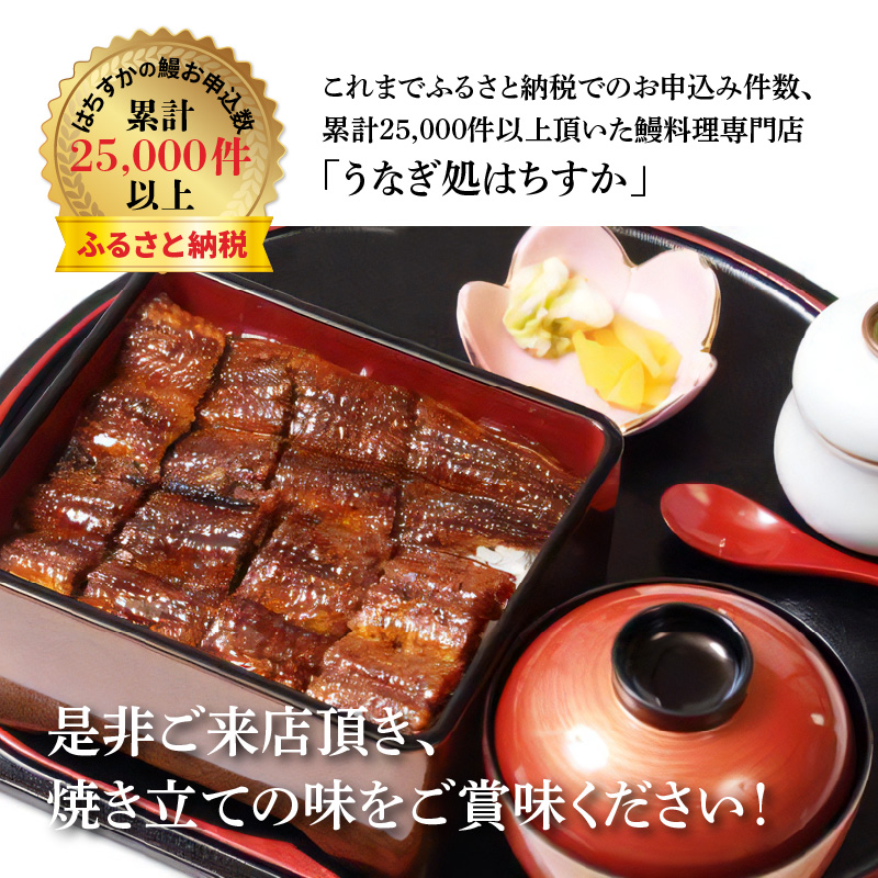 鰻料理専門店「うなぎ処はちすか」お食事券 2枚　H026-027