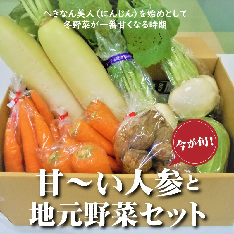 旬の野菜をお届け！甘～い人参と地元野菜セット へきなん美人 にんじん　H025-010