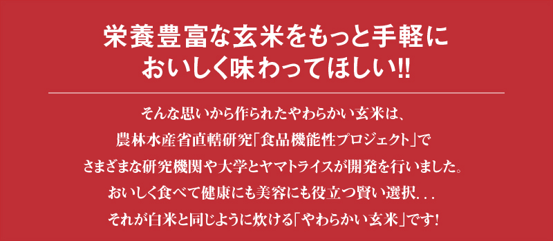 やわらかい玄米 ゆめぴりか 900g×4袋　※定期便6回　安心安全なヤマトライス　H074-597