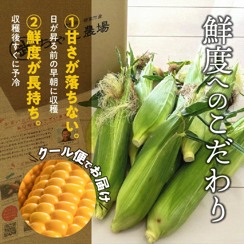 【2025年発送】【お試し】朝採り直送 メロンより甘い 生とうもろこし“にっこりコーン” 7本 H095-027