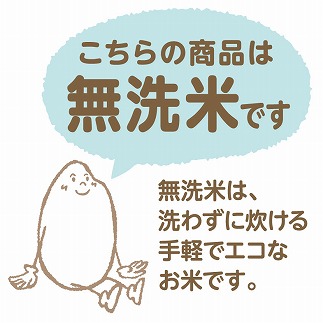 新潟県産コシヒカリ 無洗米 6kg(2kg×3袋)　安心安全なヤマトライス　H074-327