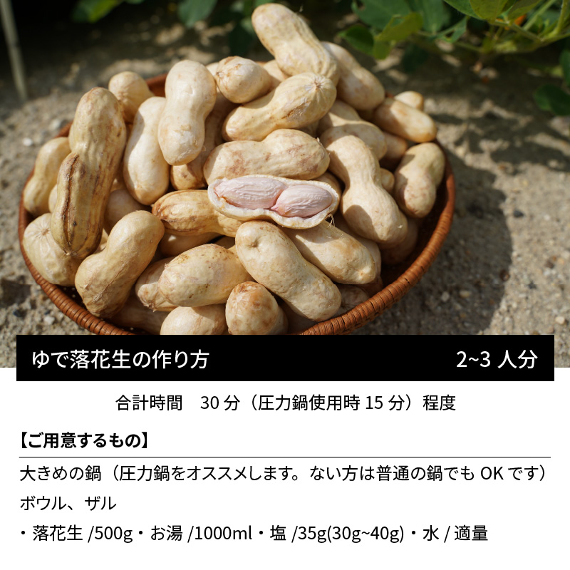 生落花生 おおまさり 2kg とれたて 耕地の美味しい野菜シリーズ第1弾　H132-022