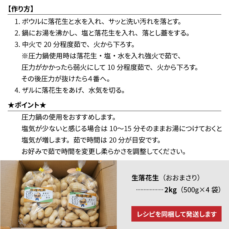 生落花生 おおまさり 2kg とれたて 耕地の美味しい野菜シリーズ第1弾　H132-022