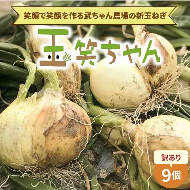 【食品ロス削減】（訳あり）笑顔で笑顔を作る武ちゃん農場の新玉ねぎ“玉笑ちゃん” 9個　H095-030