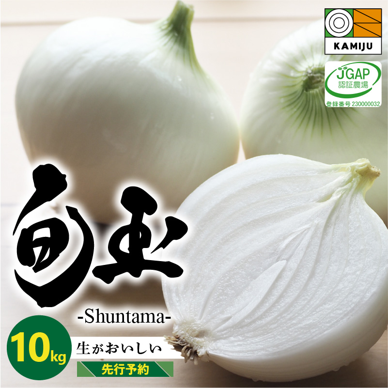 新玉ねぎ　生がおいしい　神重農産のブランド玉ねぎ「旬玉」10kg ブランド玉ねぎ 玉ねぎ 国産 愛知県産 野菜 やさい 農家直送 畑直送 旬 期間限定 たまねぎ 先行予約 旬 特産 高評価 高リピート 人気　H105-149