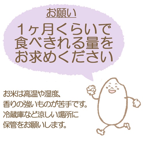 【すぐにお届け&日時指定可】愛知県産あいちのかおり 10kg　こめ コメ ごはん 安心安全なヤマトライス 米 白米 国産 精米 10キロ　H074-606