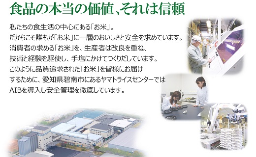 【すぐにお届け&日時指定可】愛知県産あいちのかおり 10kg　こめ コメ ごはん 安心安全なヤマトライス 米 白米 国産 精米 10キロ　H074-606