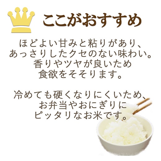 愛知県産あいちのかおり 10kg ※6回定期便　こめ コメ ごはん 安心安全なヤマトライス 米 白米 国産 精米 10キロ　H074-609