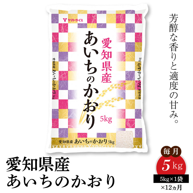 愛知県産あいちのかおり 5kg ※12回定期便　安心安全なヤマトライス　H074-603