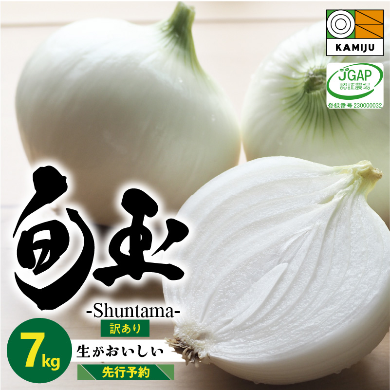 訳あり　新玉ねぎ　生がおいしい　神重農産のブランド玉ねぎ「旬玉」7kg ブランド玉ねぎ 玉ねぎ 国産 愛知県産 野菜 やさい 農家直送 畑直送 旬 期間限定 たまねぎ 先行予約 旬 特産 高評価 高リピート 人気　H105-150