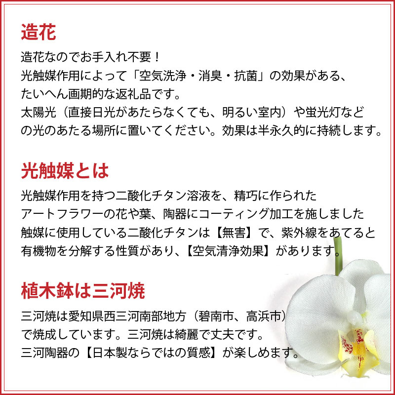 綺麗で丈夫な三河陶器で贈る光触媒胡蝶蘭小輪１本立（モカの陶器×ピンクの花）H100-082