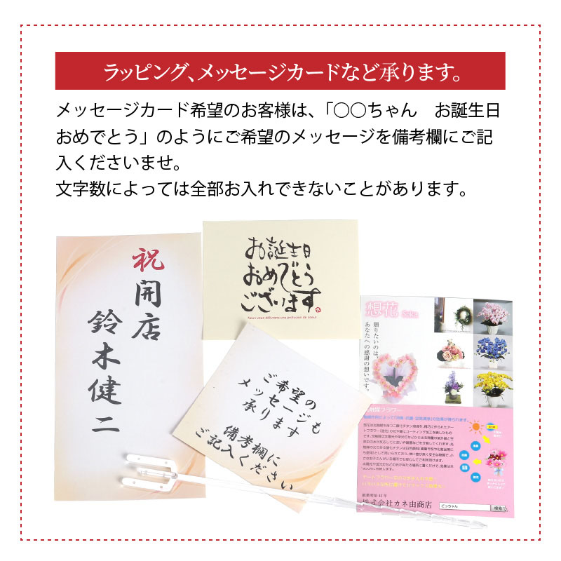 綺麗で丈夫な三河陶器で贈る光触媒胡蝶蘭小輪１本立（モカの陶器×ピンクの花）H100-082