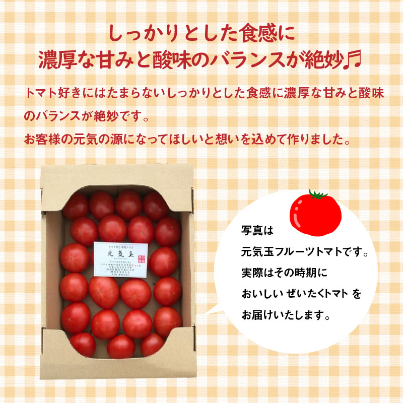 【お試し】期間限定！プレミアムフルーツトマト　長田農園 産地直送 トマト とまと 野菜 やさい フルーツ サラダ 濃厚 甘い ご褒美 プレゼント 美容 健康 リピート多数 人気 高評価 先行受付 数量限定 碧南市　H004-145