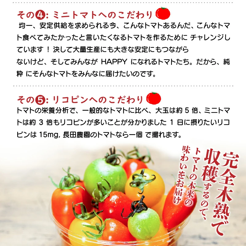 増量約2kg！甘さ抜群!!トマト嫌いでも食べられるトマトベリー 4月～6月発送 野菜ソムリエサミット 金賞 受賞 長田農園 産地直送 トマト とまと 野菜 やさい フルーツ サラダ 濃厚 甘い ご褒美 プレゼント 美容 健康 リピート多数 人気 高評価 数量限定 碧南市 H004-147