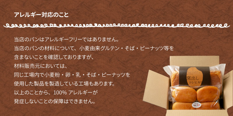 グルテンフリー 米粉食パン 窯出しコシヒカリ 2本　H083-017