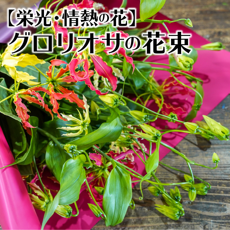 【栄光・情熱の花】グロリオサの花束　H092-047