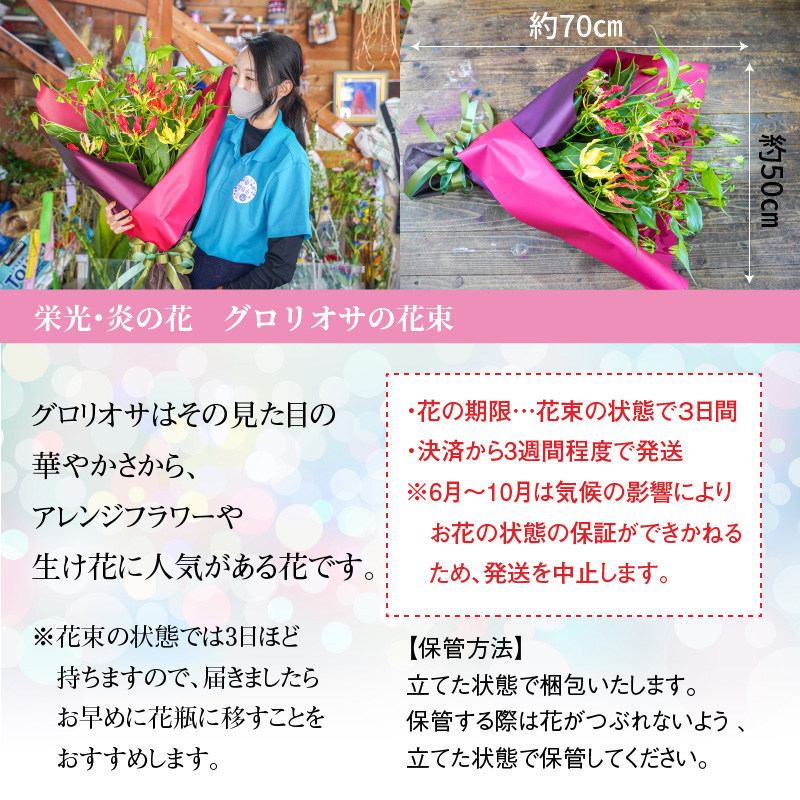 【栄光・情熱の花】グロリオサの花束　H092-047