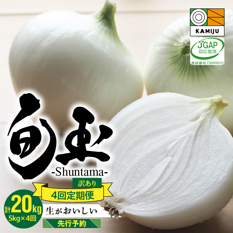 訳あり 新玉ねぎ 定期便 5kg×4回　生がおいしい 神重農産のブランド玉ねぎ「旬玉」　H105-129