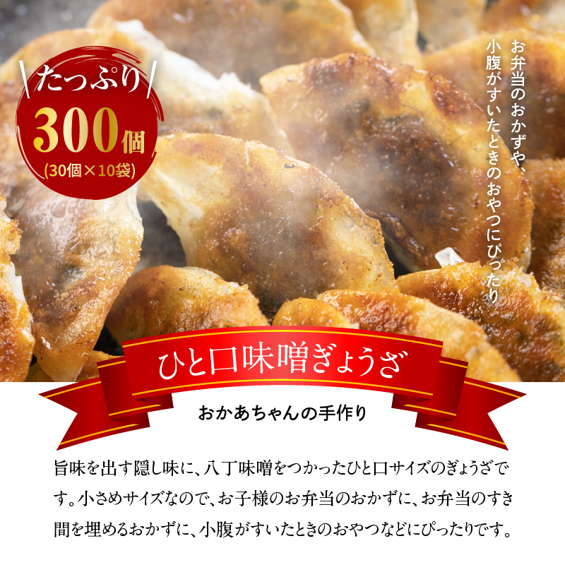 居酒屋のおかあちゃん手作り 店の看板メニュー ひと口味噌ぎょうざ 300個(30個×10袋)　H136-030