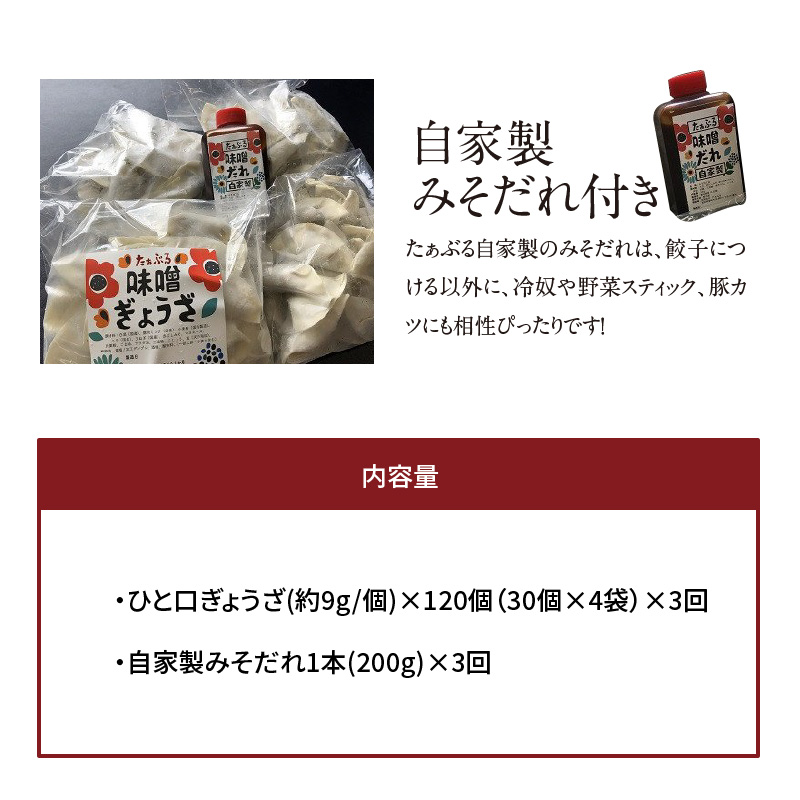 【3ヶ月定期便】居酒屋のおかあちゃん手作り ひと口味噌ぎょうざ　120個（30個×4袋）　H136-040