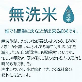 新潟県産コシヒカリ 無洗米 6?(2?×3袋)　安心安全なヤマトライス　H074-196