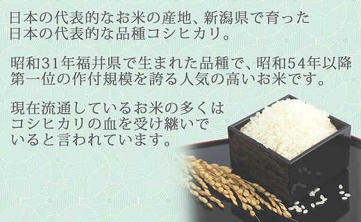 新潟県産コシヒカリ 無洗米 2kg ※12回定期便　安心安全なヤマトライス　H074-225
