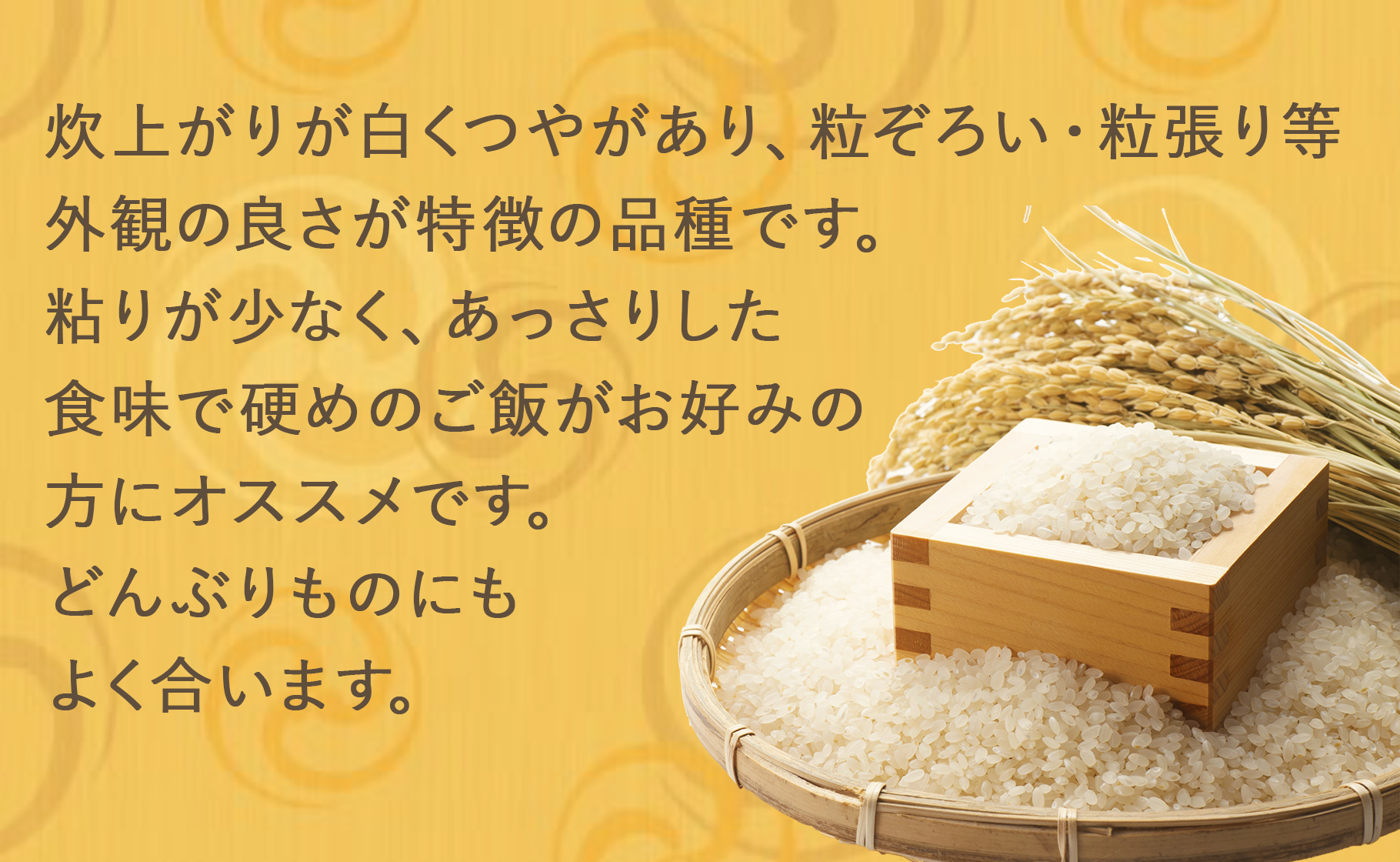 無洗米 青森県産まっしぐら 10kg(5kg×2袋) 安心安全なヤマトライス H074-268 - ふるさとパレット ～東急グループのふるさと納税～