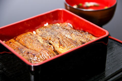 お家で日本一周！全国のお米×碧南の肉・魚介　6か月定期便　H028-016