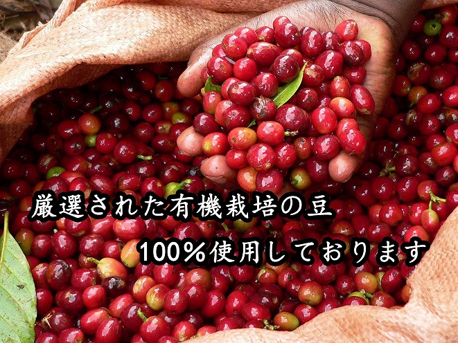 希少！有機栽培の豆100% ドリップバッグ コーヒー ギフトセット(アイス20袋)　H046-011