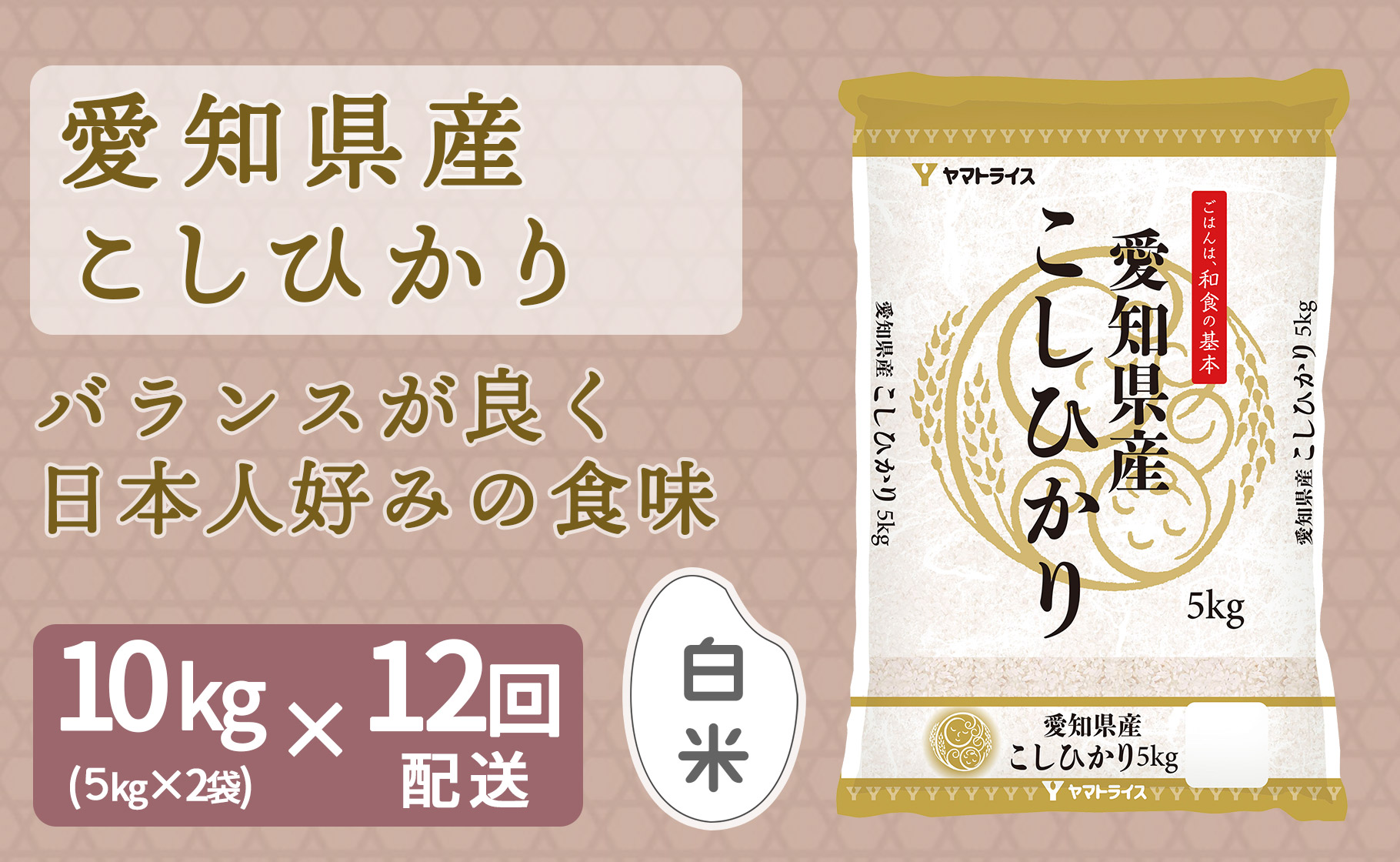 愛知県産コシヒカリ 10kg(5kg×2袋) ※定期便12回 安心安全なヤマト