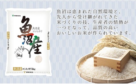 新潟県魚沼産コシヒカリ 5kg ※定期便12回 下旬発送 安心安全なヤマト