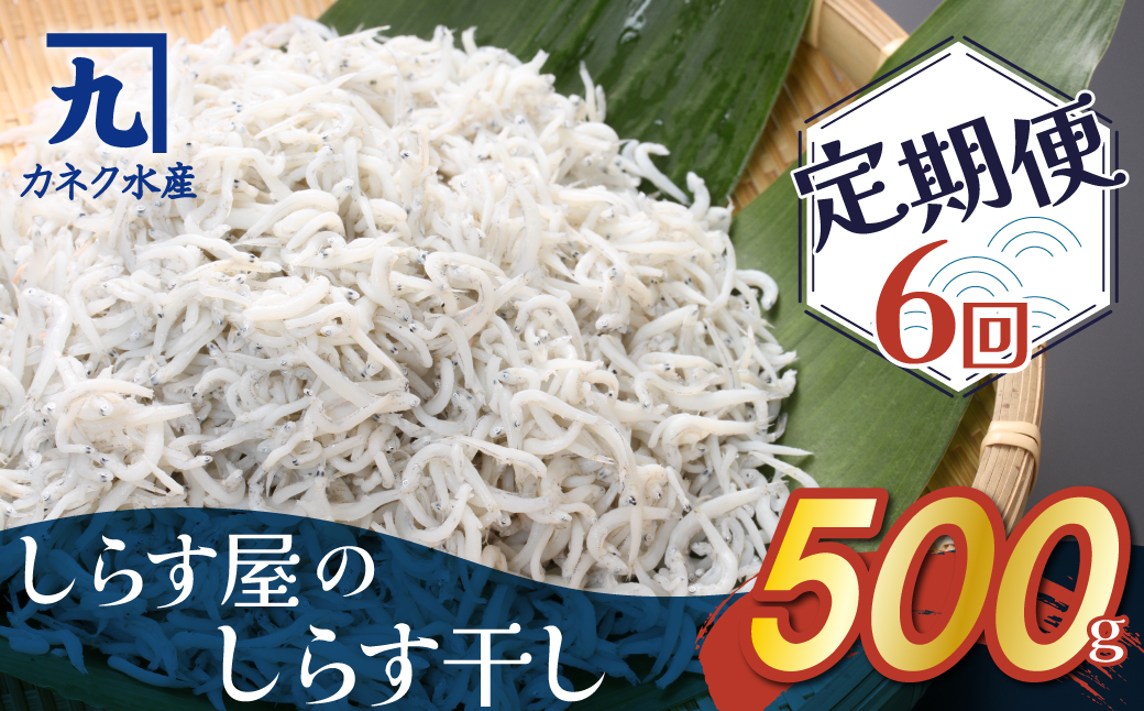 ふるさと納税 釜揚げしらす しらす干し 交互 定期便 (1kg×6か月) 天然