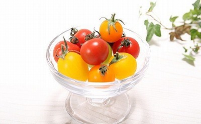 増量約2kg！まるでトマトの宝石箱！フルーツジュエリートマト 4月～6月発送　H004-146