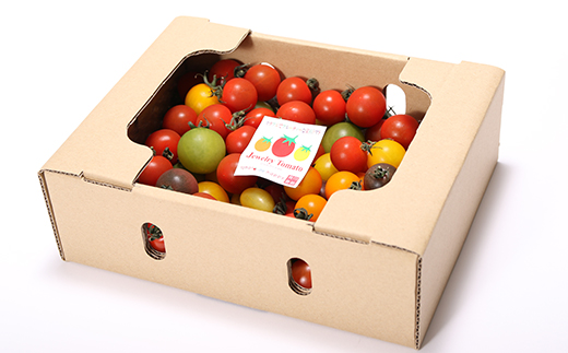 【お試し】まるでトマトの宝石箱！フルーツジュエリートマト　約800g　H004-115