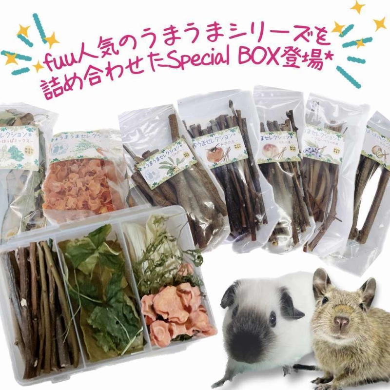 fuu 小動物のかじり木・おやつ　SpecialアソートBOX mini（1個）