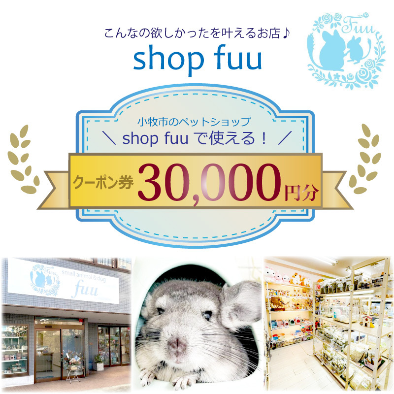 shop fuuで使えるクーポン券（30,000円）