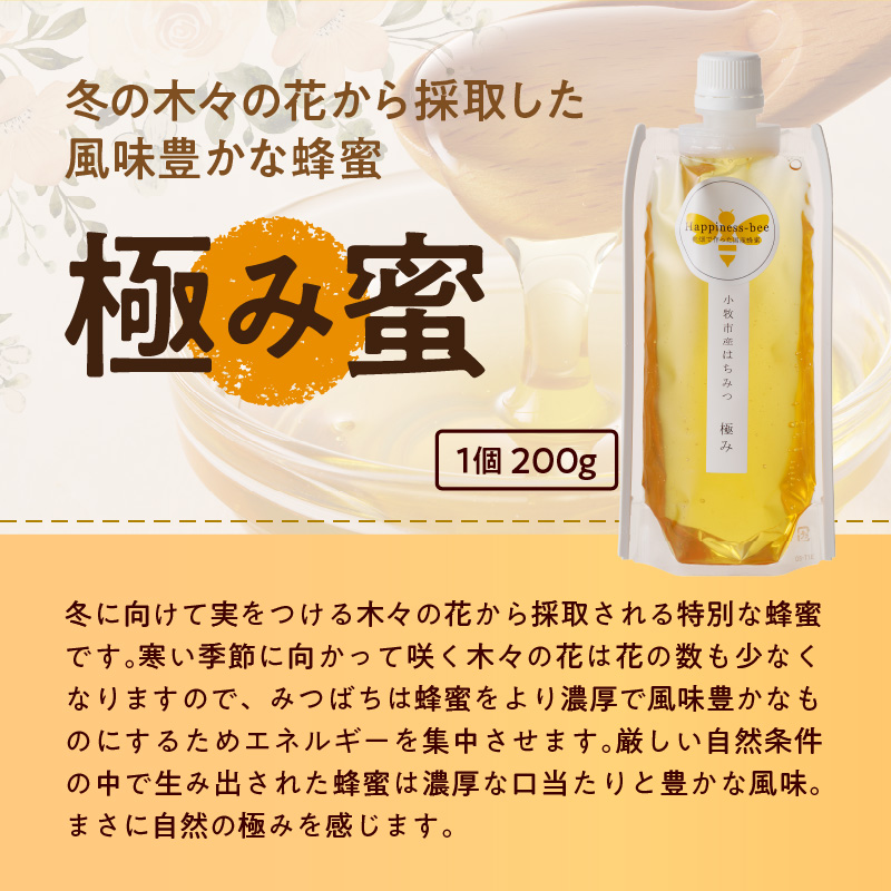 【愛知県小牧市】桃畑で作った完熟非加熱はちみつ200g×3本 パウチ入り ポスト便