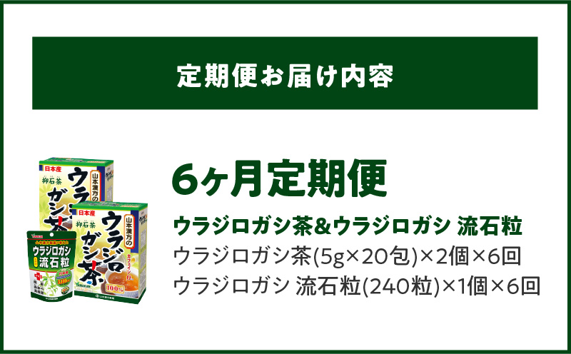 ＜6ヶ月連続＞ウラジロガシ茶＆ウラジロガシ 流石粒　山本漢方　定期便