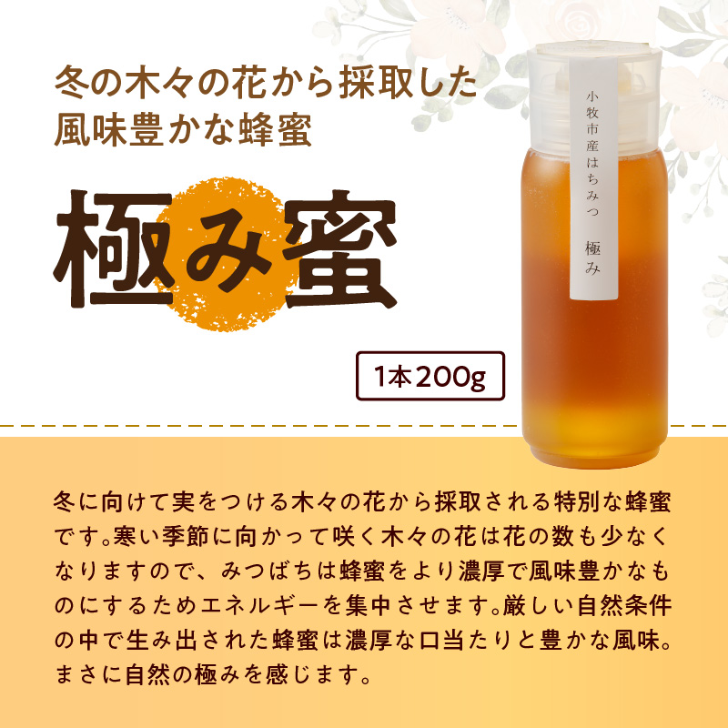 ＜国産＞新蜜＆極み 桃畑で作った完熟非加熱はちみつ2種（200g×2個）【愛知県小牧市】