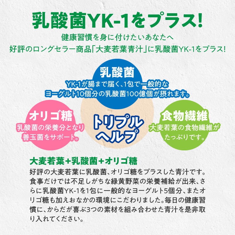 ＜2ヶ月に1度、6回送付＞乳酸菌＋大麦若葉粉末60H　山本漢方　定期便