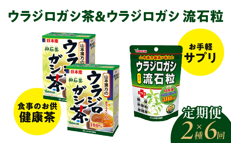 ＜6ヶ月連続＞ウラジロガシ茶＆ウラジロガシ 流石粒　山本漢方　定期便