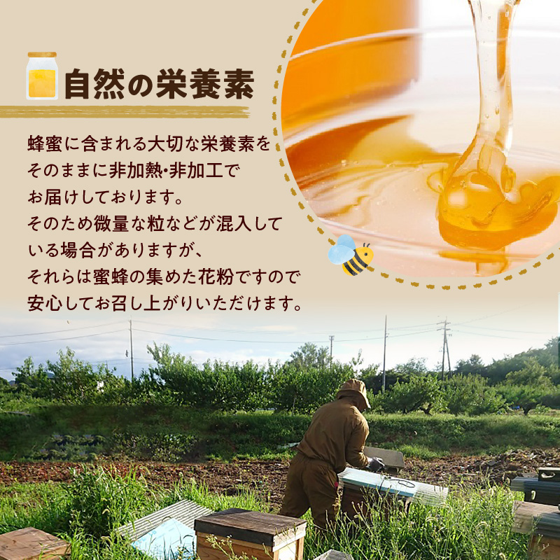 【愛知県小牧市】桃畑で作った完熟非加熱はちみつ200g×2本（アカシア）パウチ入り ポスト便