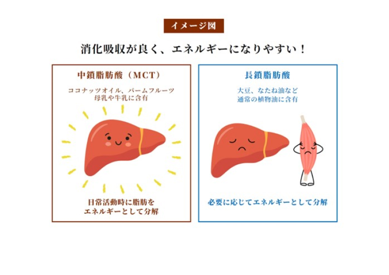 【山本漢方製薬】MCT大麦若葉粉末 5g×52包（機能性表示食品）